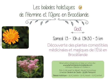Balade holistique (5km) : Découverte des plantes médicinales, comestibles, magiques Balade holistique (5km) : Découverte des plantes médicinales, comestibles, magiques