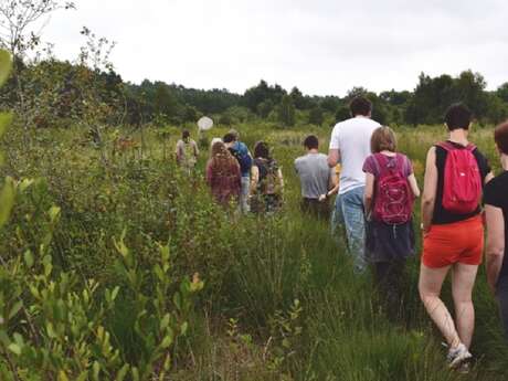 Balade nature: visite guidée de la Tourbière de Sérent