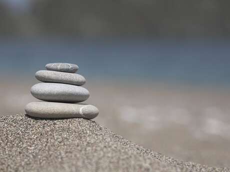 CONFERENCE-ATELIER : la pleine conscience et le bien être psychique