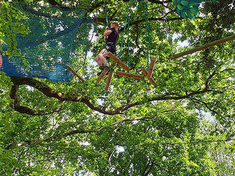 Bonobo Parc