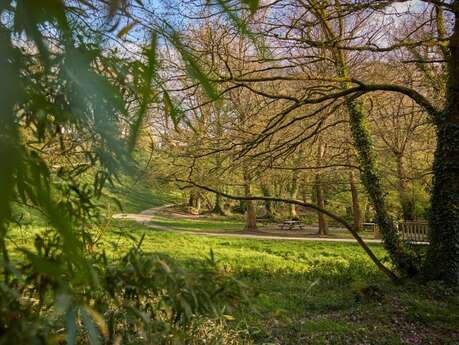 Balade nature « Traces et empreintes au Bois d’Amour »