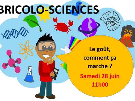 Bricolo-science: "le goût, comment ça marche?" Bricolo-science: "le goût, comment ça marche?"