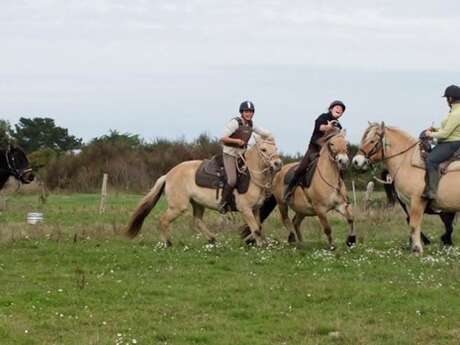 Les Sentiers du Riellec - Centre Equestre