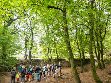 Balade contée : Il était une fois Brocéliande
