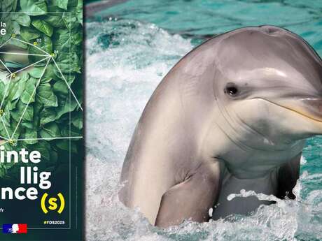 Conférence & Exposition : Quand les animaux prennent la parole !