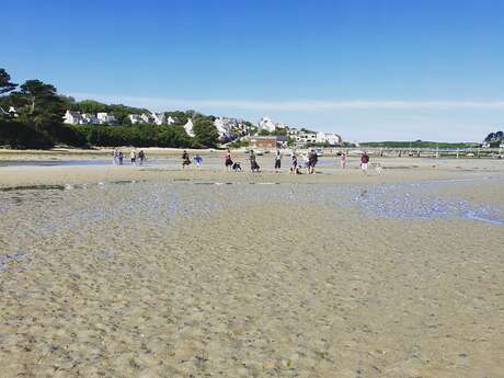Exploration de la ria du Conquet