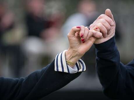 Fest ar Laridenn - Fest-noz