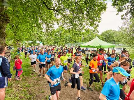 Tro Maneguen : trails et marches