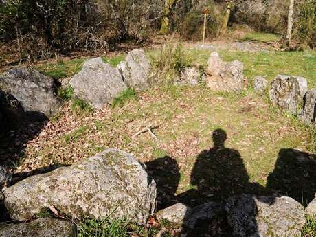 Dolmen de Mané Bogad