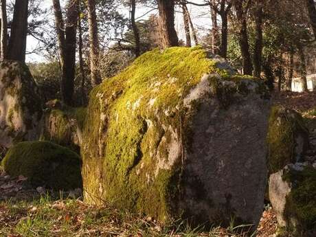 Dolmen du Luffang