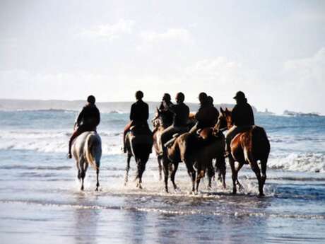 Centre équestre L'Eperon