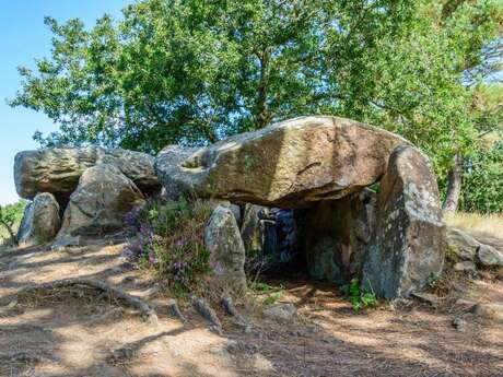 Dolmens de Mané-Braz