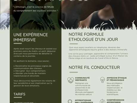 Domaine d'Albizia centre équestre