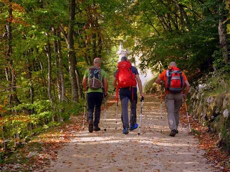 Balade conférence - la place des arbres vénérables dans le bocage
