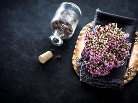 Atelier d'aromathérapie en Brocéliande : Rencontre avec l'Hiver Atelier d'aromathérapie en Brocéliande : Rencontre avec l'Hiver