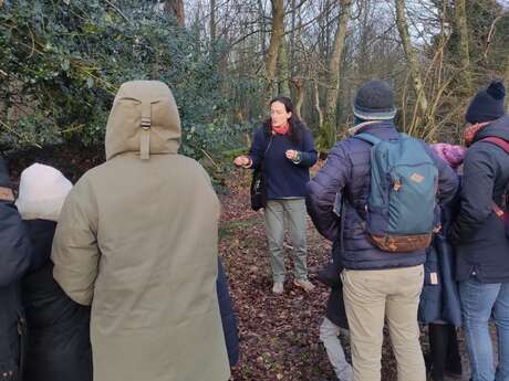 Balade contée - La tête dans la Lune