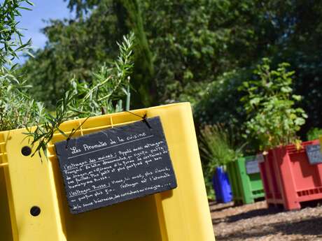 Atelier  « Plantes médicinales et… plantes toxiques ! »