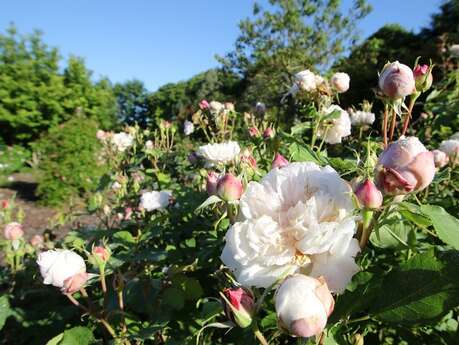 Les Jardins de la Peignie