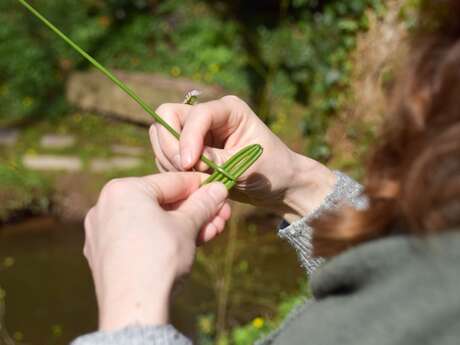 Ateliers Nature aux Jardins de Brocéliande