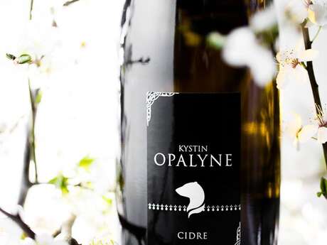 Cidres Kystin