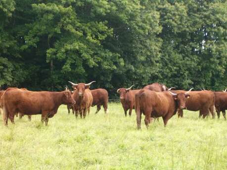 La Ferme de la Picardière