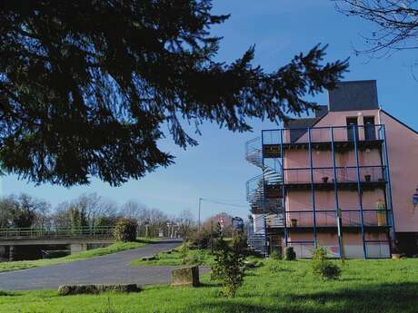 Plantation haie / cabane en osier vivant