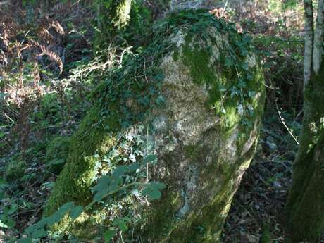 Dolmen à couloir de Coëby1