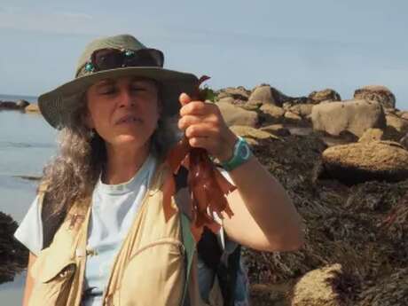 De Sémaphore en Phare :  Aventure nature sur le GR 34