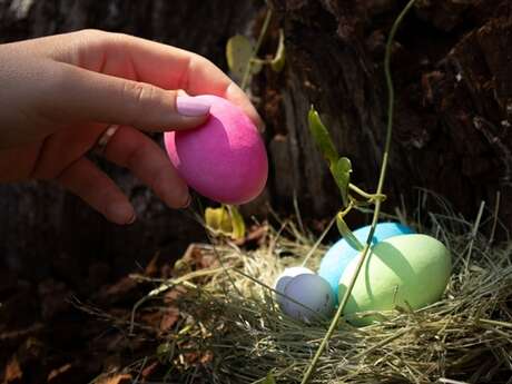 Chasse aux oeufs