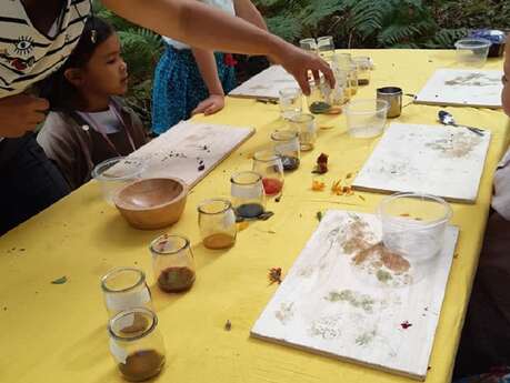 Sortie nature : Peinture végétale