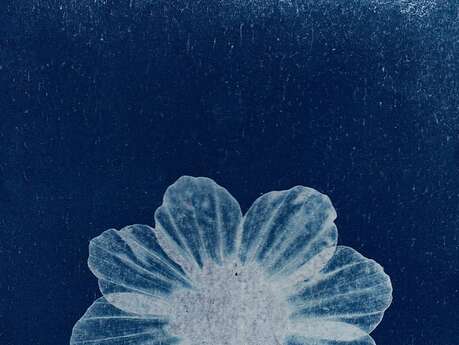 Initiaton au cyanotype - Festival Photo