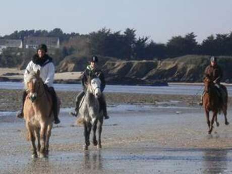 Haras du Cosquer