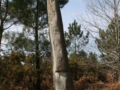 Menhir Quenouille de Gargantua la Croix Pin