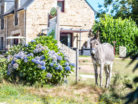 Vallée de Pratmeur