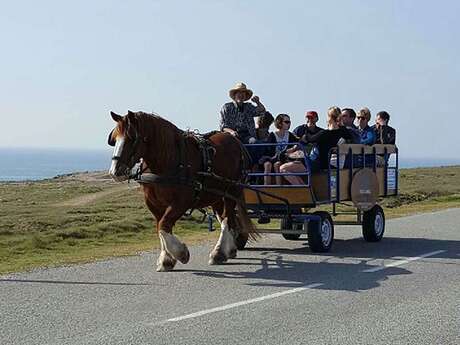 Presqu'île Attelage