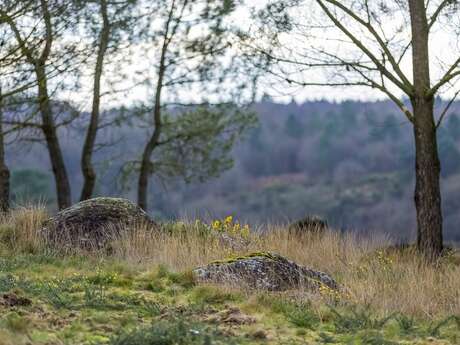 Randonnée contée : le val sans retour et les landes de Gurwan Randonnée contée : le val sans retour et les landes de Gurwan