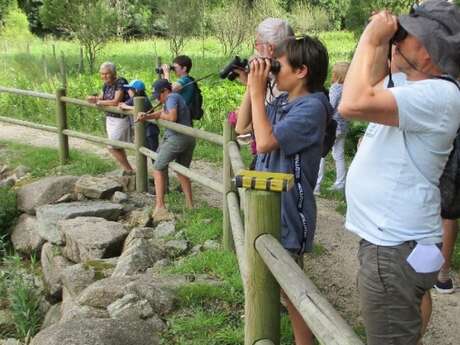 Balade ornithologique - Les randoiseaux de Saint-Dégan
