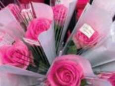 1 Rose 1 Info- Octobre Rose