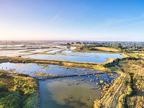 Réserve Naturelle des Marais de Séné