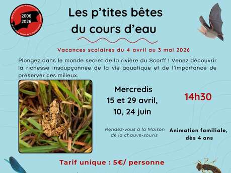 Sortie nature « Les p'tites bêtes du cours d'eau »