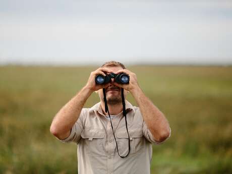 A la rencontre des oiseaux