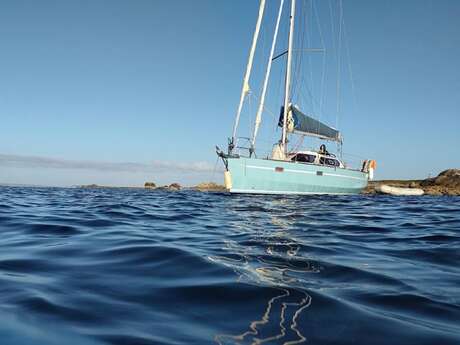 Loup Voyage Sailing