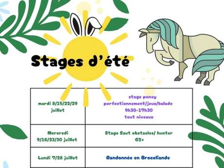 Randonnée à cheval en Brocéliande