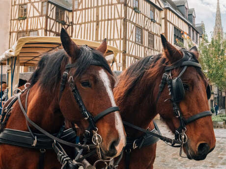 Rouen au pas des chevaux