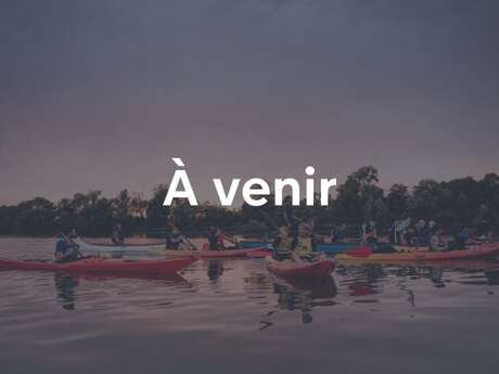 Les îles de la Seine en paddle (ou kayak) et cocktail au coucher du soleil