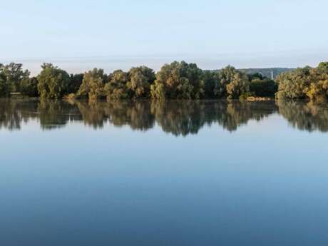 Ateliers de formation-action