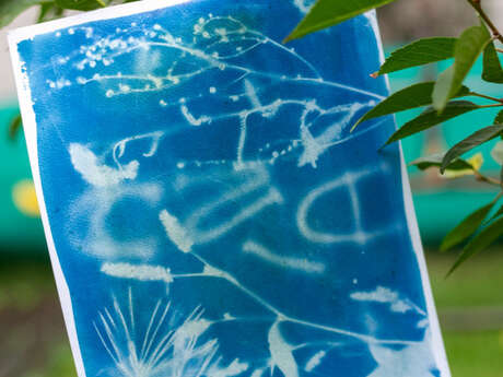 Atelier cyanotype enfants