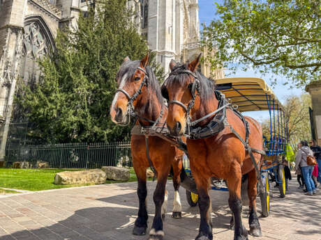 Rouen au pas des chevaux