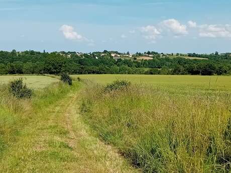 Trail au fil des vallées - parcours 8