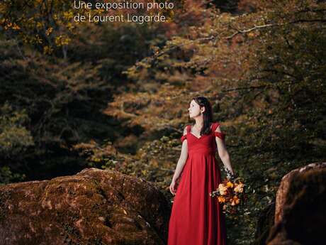 Exposition A Girl And Some Tunes: Fleurs De Ruine